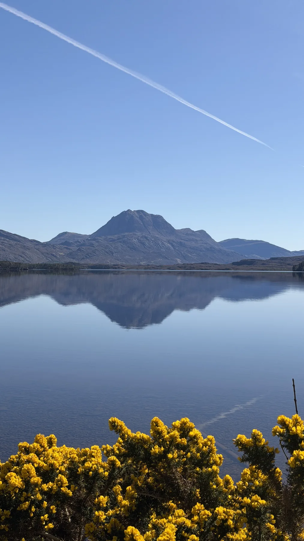 Ruhiger Bergsee mit Spiegelung und gelben Blüten im Vordergrund