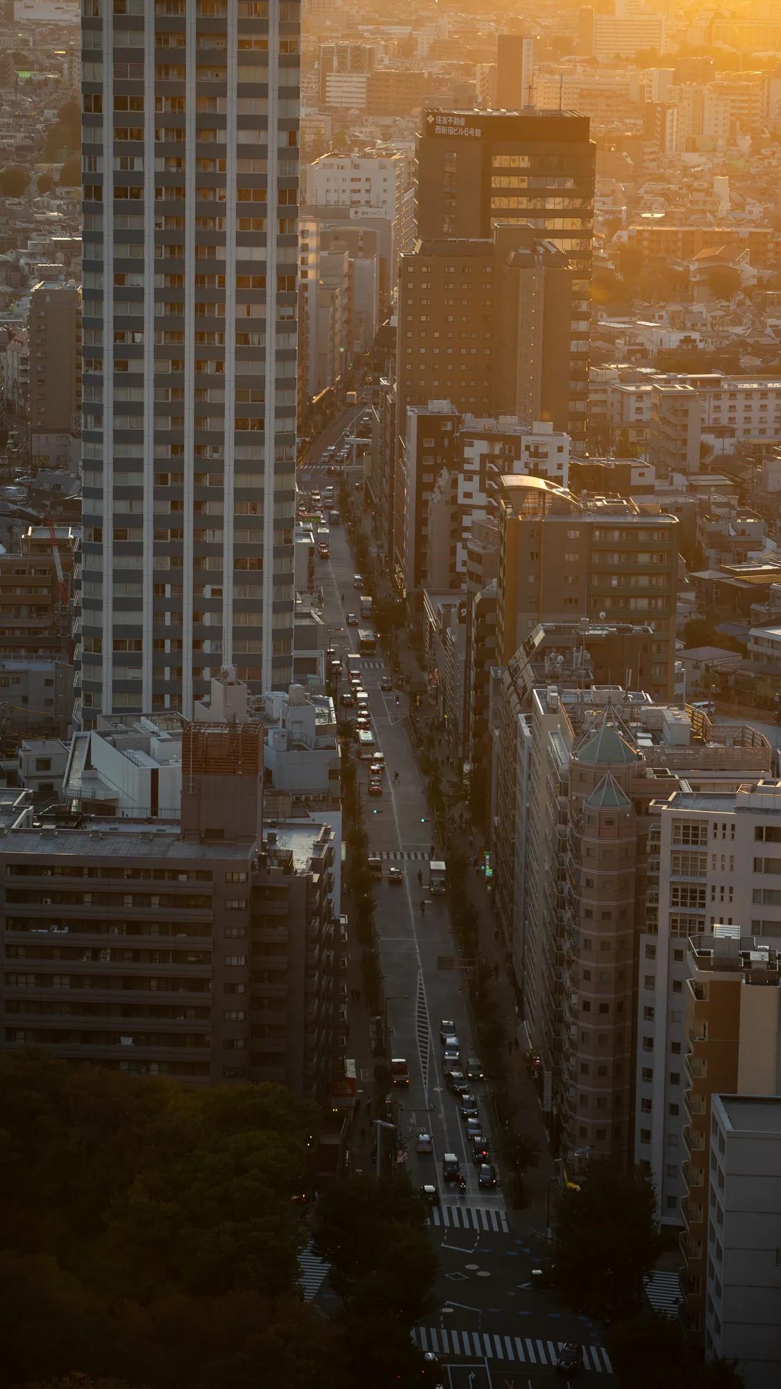 Lange Straße zwischen dicht stehenden Gebäuden im goldenen Abendlicht von Tokio